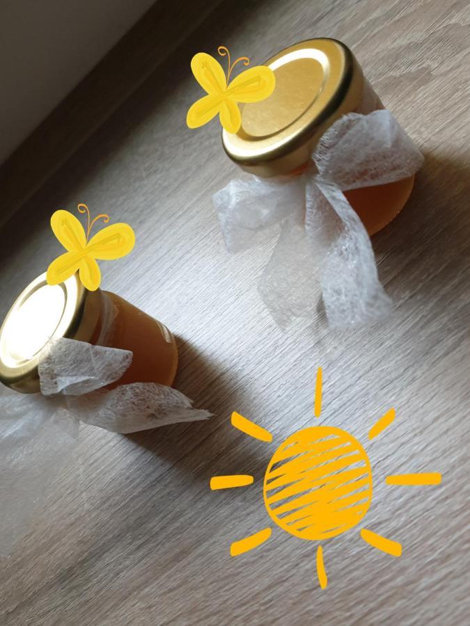 Sweet Honey Mieszkanie W Plocku公寓 外观 照片